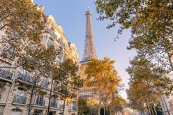 Fall colors in Paris
