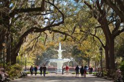 Fountain in Forsyth Park