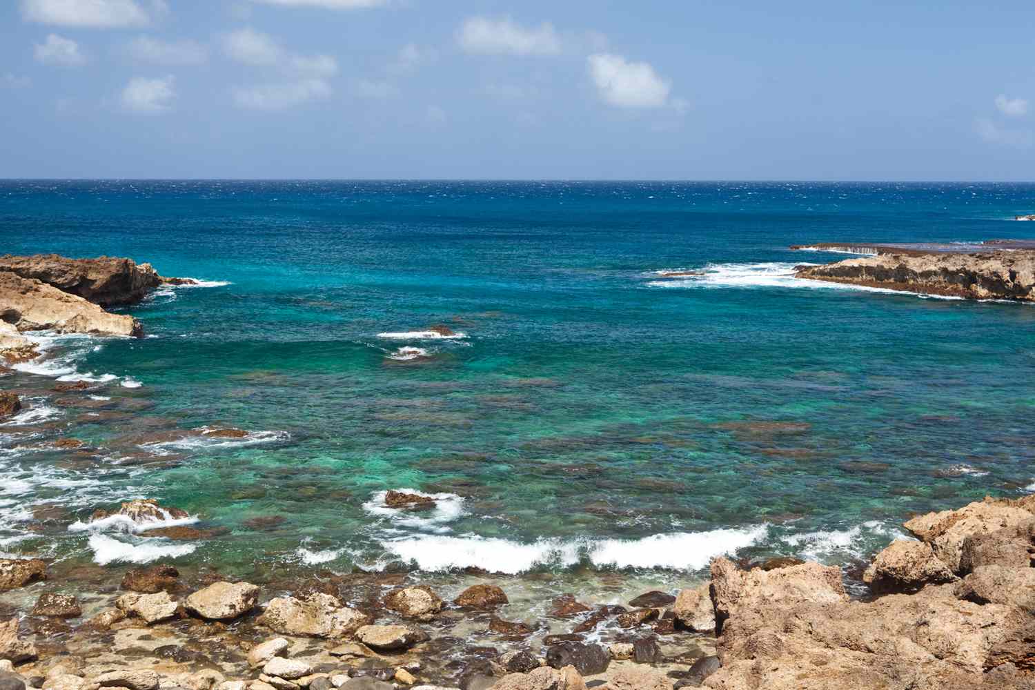 Rocky coastline of Shark's Cove