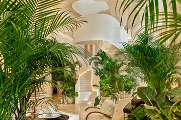 Indoor tropical plants and a large white spiral staircase in the lobby at Tampa EDITION hotel