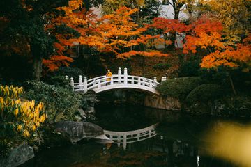 Beautiful autumn colors of red Japanese maple trees with a little girl on bridge over pond, Tokyo