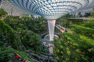 The vortex waterfall feature surrounded by greenery in the Singapore airport