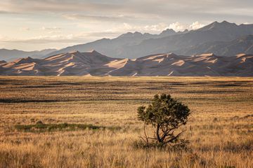 Great Sand Dunes National Park and Preserve with mountains in distance at sunset, Alamosa, Colorado