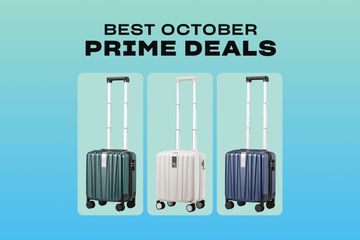 Flight Attendant-Loved Luggage Deal