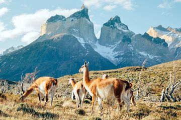 How to Travel to Patagonia