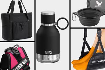 I’m a Travel Writer With a Mental Health Disability Who Travels With a Service Dog, This Is What We Packed – All Under on Amazon Tout