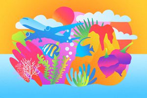 Colorful illustration that invokes the spirit of the Caribbean