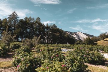 Valmont gardens in Switzerland