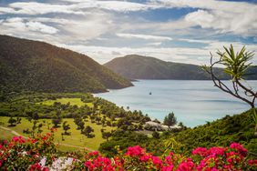 View of White Sand Bay, with pink flowers in the foreground