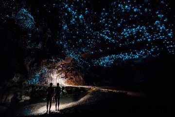 Waitomo Glowworm Caves, New Zealand