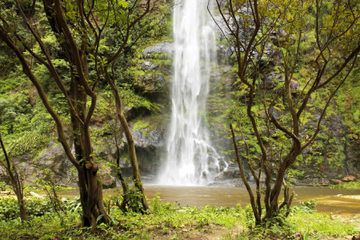 Water splashes down into a pool at the base of the upper falls in Wli, Ghana. Wli Waterfall is the tallest in West Africa.