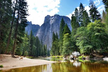Yosemite National Park
