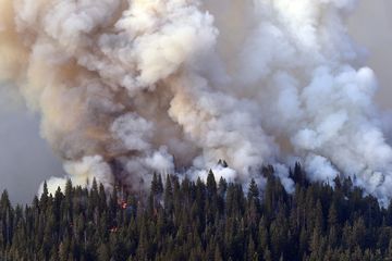 Smoke rises up through sequoia trees in Yosemite National Park